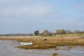 Two Skiff boat on grass. Two abandoned wooden dinghy rowboat beached on grass. Royalty Free Stock Photo