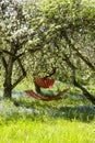 Beautiful landscape with two red hammocks in the spring garden with blooming apple trees, sunny day. Concept for relaxation,