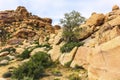 Beautiful landscape view of boulders, red rock formations from the hiking trail in Joshua Tree National Park. American desert. Royalty Free Stock Photo