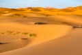 Beautiful landscape view of dunes Erg Chebbi, Sahara Desert, Merzouga, Morocco Royalty Free Stock Photo