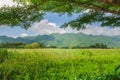 Beautiful landscape view of green field or meadow with mountain and blue sky in the background. Royalty Free Stock Photo