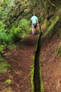 Levada hiking Madeira