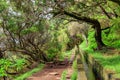 Levada trail Madeira