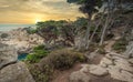 Beautiful landscape view of the hiking trail on the rocky Pacific coast at Point Lobos State Reserve in Carmel, California Royalty Free Stock Photo