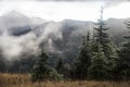 Sunrise on Hurricane Ridge - Olympic National Park Royalty Free Stock Photo