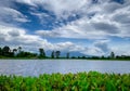 Beautiful landscape view of lake in front of the mountain with blue sky and white cumulus clouds. Green tree and grass field Royalty Free Stock Photo