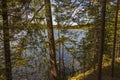 Beautiful landscape view of lake through pine trees. Lake shore with green trees and plants reflecting in  mirror water surface. Royalty Free Stock Photo