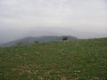 Beautiful landscape view of the meadow in Kufri