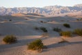 Mesquite Sand Dunes - Death Valley National Park Royalty Free Stock Photo