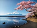 Beautiful landscape view of Mt.Fuji covered with white snow lake and cherry blossom sakura