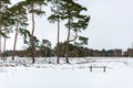A beautiful landscape view of open British heathland with a empty snow covered bench during a rare heavy snowstorm