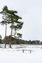 A beautiful landscape view of open British heathland with a empty snow covered bench during a rare heavy snowstorm