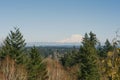 Beautiful landscape with a view of the Rainier volcano from Olympia Royalty Free Stock Photo