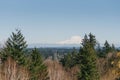 Beautiful landscape with a view of the Rainier volcano from Olympia Royalty Free Stock Photo