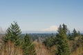 Beautiful landscape with a view of the Rainier volcano from Olympia Royalty Free Stock Photo