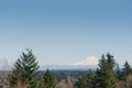 Beautiful landscape with a view of the Rainier volcano from Olympia Royalty Free Stock Photo