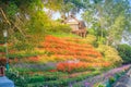 Beautiful landscape view of red flower garden and the small cottage in the forest at Bhubing palace, Chiang Mai, Thailand. Royalty Free Stock Photo