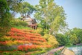 Beautiful landscape view of red flower garden and the small cottage in the forest at Bhubing palace, Chiang Mai, Thailand. Royalty Free Stock Photo