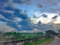 A beautiful landscape view of a road in Bangladesh.