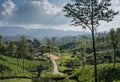 Beautiful landscape view of the road between hills near the mountains Royalty Free Stock Photo