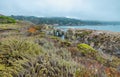 Beautiful landscape, view rocky Pacific Ocean coast at Point Lobos State Reserve in Carmel, California Royalty Free Stock Photo