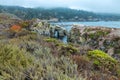 Beautiful landscape, view rocky Pacific Ocean coast at Point Lobos State Reserve in Carmel, California Royalty Free Stock Photo