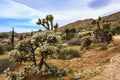 Beautiful landscape view of Southern California town of Yucca Valley, San Bernardino County, California, United States. Royalty Free Stock Photo