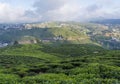 Beautiful landscape view of tea plantations fields located in Nuwara Eliya town Royalty Free Stock Photo