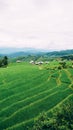 Green rice field with mountain background at Pa Pong Piang Rice Terraces Chiang Mai, Thailand. Terraced rice field with sun rays