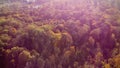 Beautiful landscape view treetops with yellow leaves on bright sunny day.Aerial