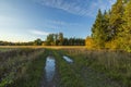 Beautiful landscape view of yellowing field and forest trees on blue sky with rear white clouds background Royalty Free Stock Photo