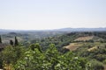 Skyline Landscape with Vineyard an Olive orchards of the Medieval San Gimignano hilltop town. Tuscany region. Italy Royalty Free Stock Photo