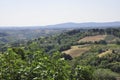 Skyline Landscape with Vineyard an Olive orchards of the Medieval San Gimignano hilltop town. Tuscany region. Italy Royalty Free Stock Photo