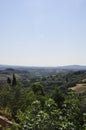 Skyline Landscape with Vineyard an Olive orchards of the Medieval San Gimignano hilltop town. Tuscany region. Italy Royalty Free Stock Photo