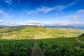 Landscape of Beaujolais with vineyards of Brouilly, France Royalty Free Stock Photo