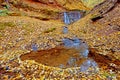 Beautiful landscape with a waterfall in the autumn woods. (Harmony, peace, meditation - concept)