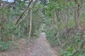 23 Nov 2019 Beautiful Landscape on the way at Fung Wong trail