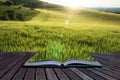 Beautiful landscape wheat field in bright Summer sunlight evening with added lens flare filter conceptual book image