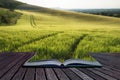 Beautiful landscape wheat field in bright Summer sunlight evening conceptual book image Royalty Free Stock Photo