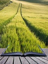 Beautiful landscape wheat field in bright Summer sunlight evening conceptual book image Royalty Free Stock Photo