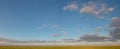 Beautiful landscape of wheat field, road on the background of stunning blue sky with amazing cumulus clouds.
