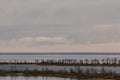 Panorama of  wide river on winter day Royalty Free Stock Photo