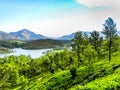 Beautiful landscape with wild forest and Periyar River, Kerala, India Royalty Free Stock Photo