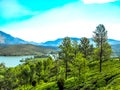 Beautiful landscape with wild forest and Periyar River, Kerala, India Royalty Free Stock Photo