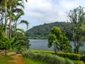 Beautiful landscape with wild forest and Periyar River, Kerala, India