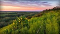 Beautiful landscape with wildflowers on a hill, river valley and sunset.