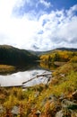 Beautiful landscape of the Wood's Lake Telluride, Colorado with golden fall aspens and pines