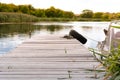 Landscape with wooden pier with black tire illuminated with sunlight