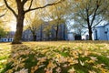 Beautiful landscape from yellow foliage trees in the park with morning sun light in autumn season, Oslo, Norway Royalty Free Stock Photo