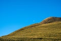 Beautiful landscape of a yellow grassland with blue sky on the high mountain at susnet I